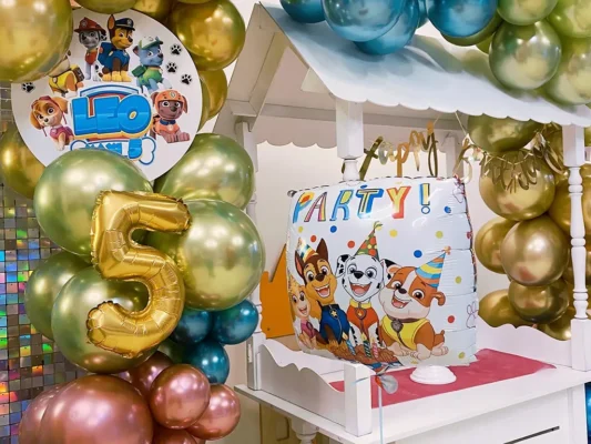 Paw Patrol Party in Wien bestellen